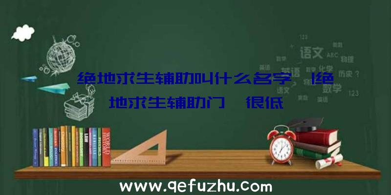 「绝地求生辅助叫什么名字」|绝地求生辅助门槛很低